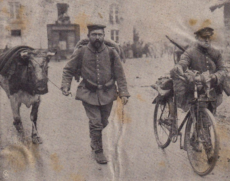 Les soldats allemands traînant les vaches